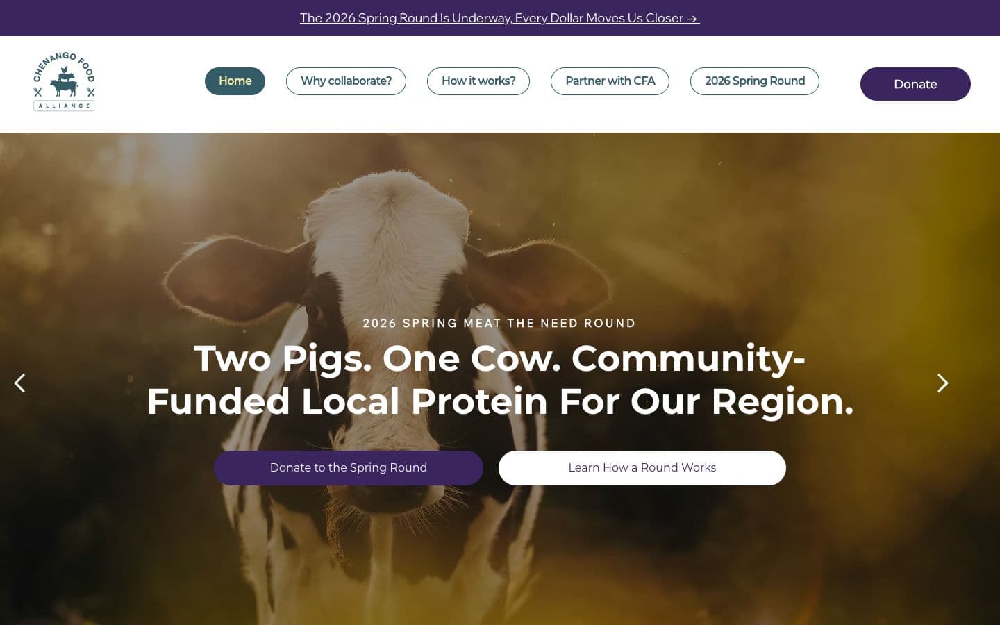 Website for Chenango Food Alliance